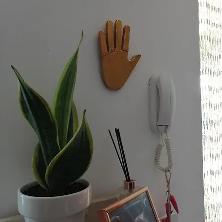 Konukevi Belvedere House