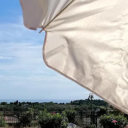 Belvedere House Konukevi